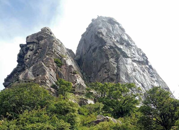 Mount Abu Luxury Escape (2 Days / 1 Night) (Minimum 2 person required) image