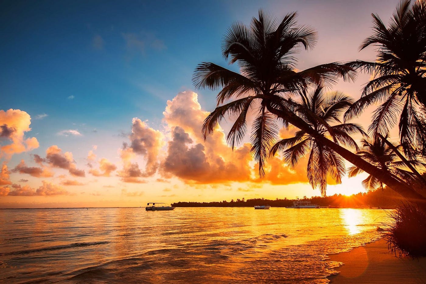 Andaman Slow Luxury Island Retreat (5D/4N) image