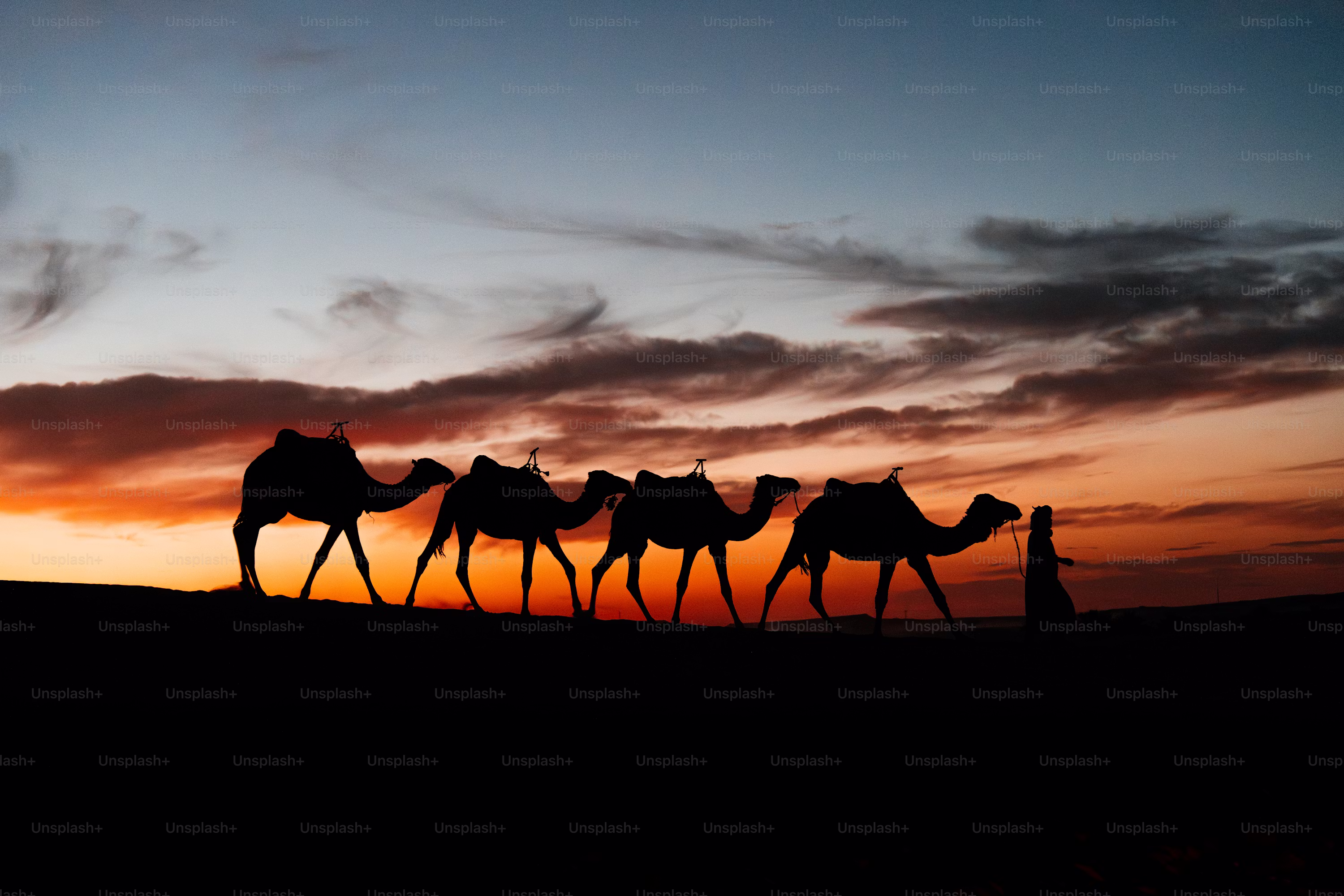 Desert Under the Stars Experience image