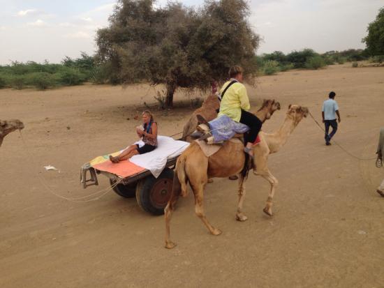 Slow Desert Life Experience image