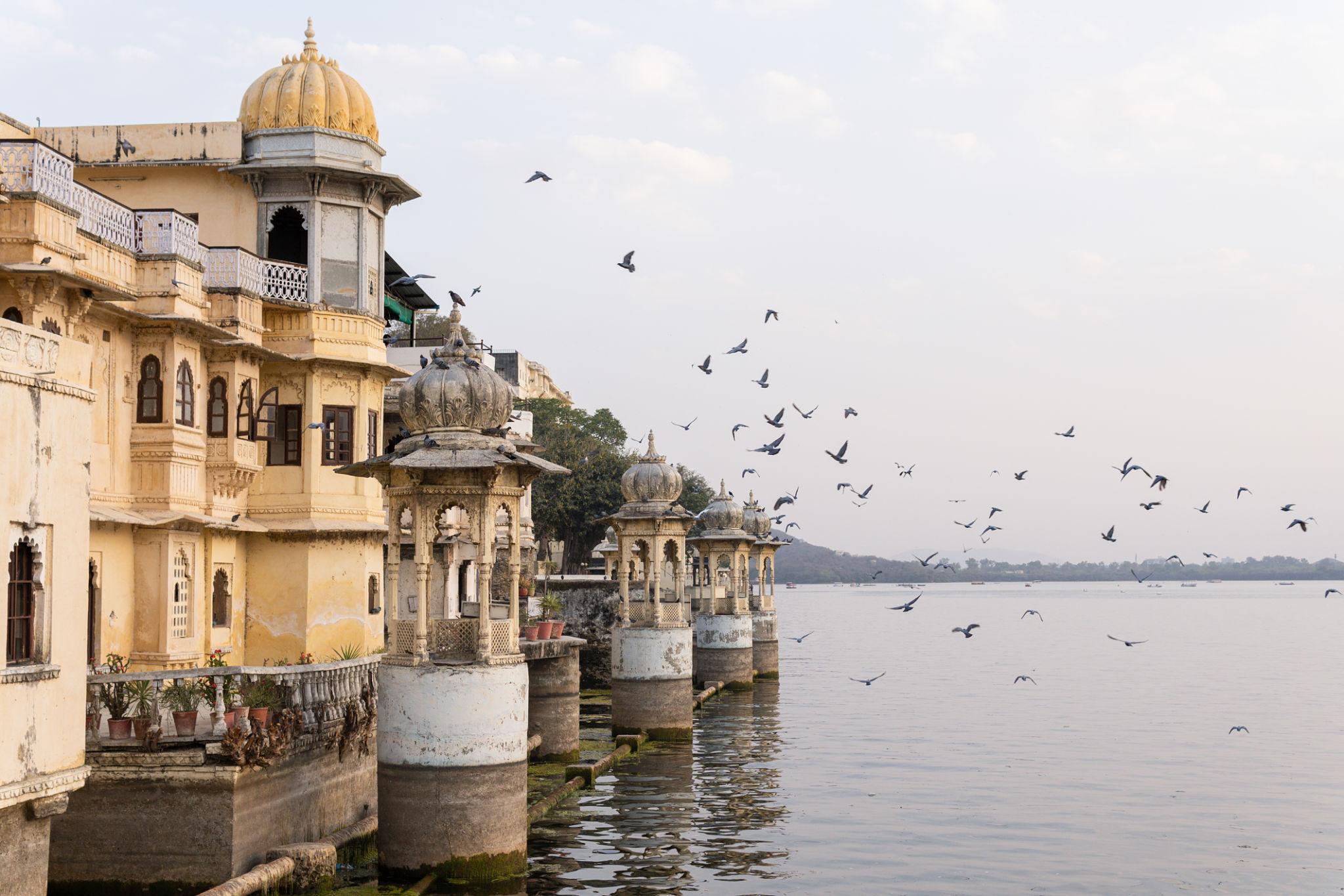 Complete Udaipur Sightseeing & Lake City Experience image