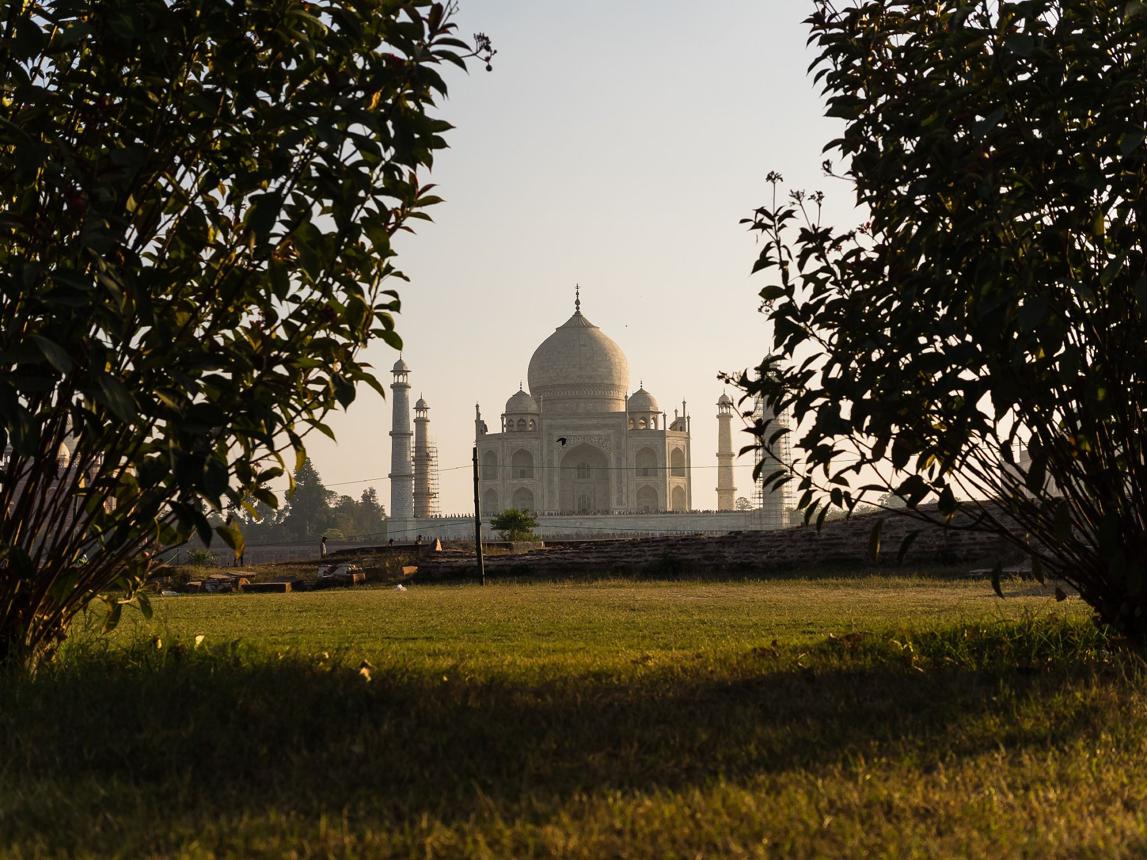Taj Mahal & Agra Highlights Tour image