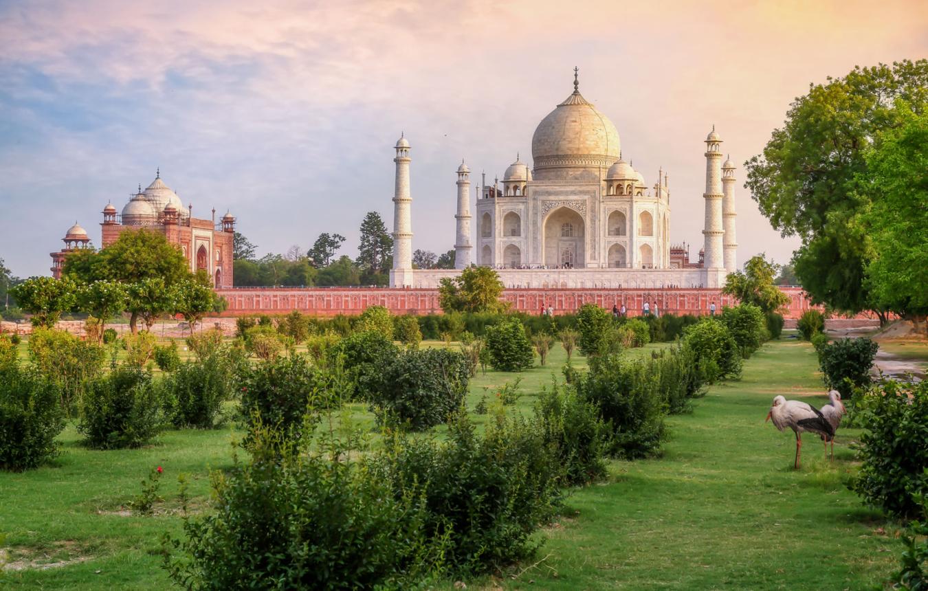 Taj Mahal & Agra Highlights Tour image