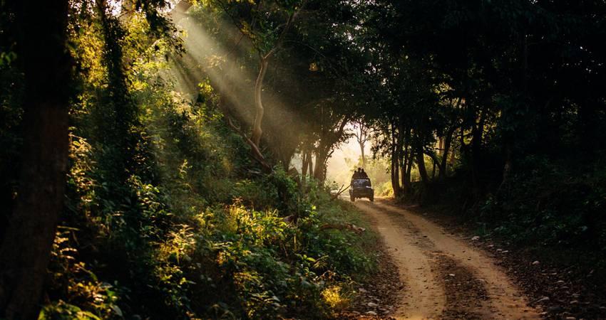 Jim Corbett Safari Experience image 1