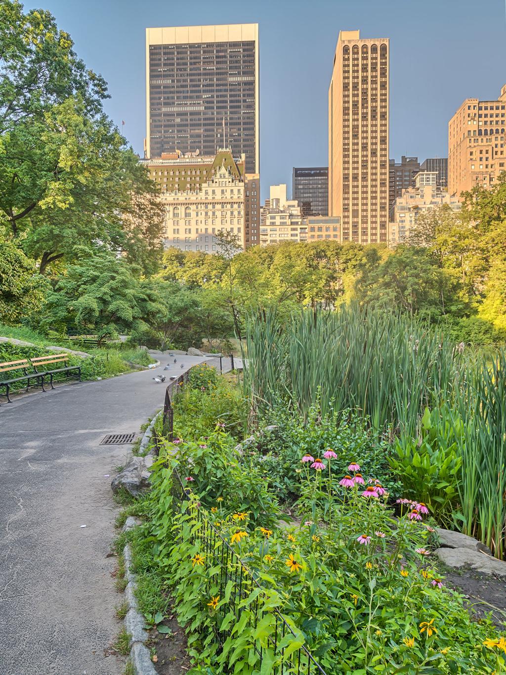 NYC Midtown & Central Park Explorer image 1