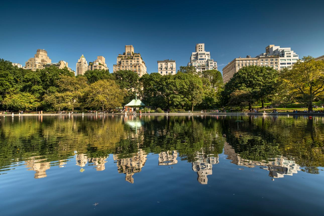 Complete NYC Skyline & Modern Experience image 1