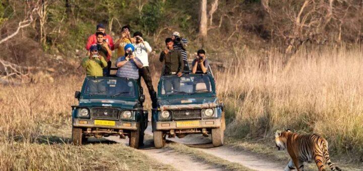 Jim Corbett Jungle Safari Experience image 1
