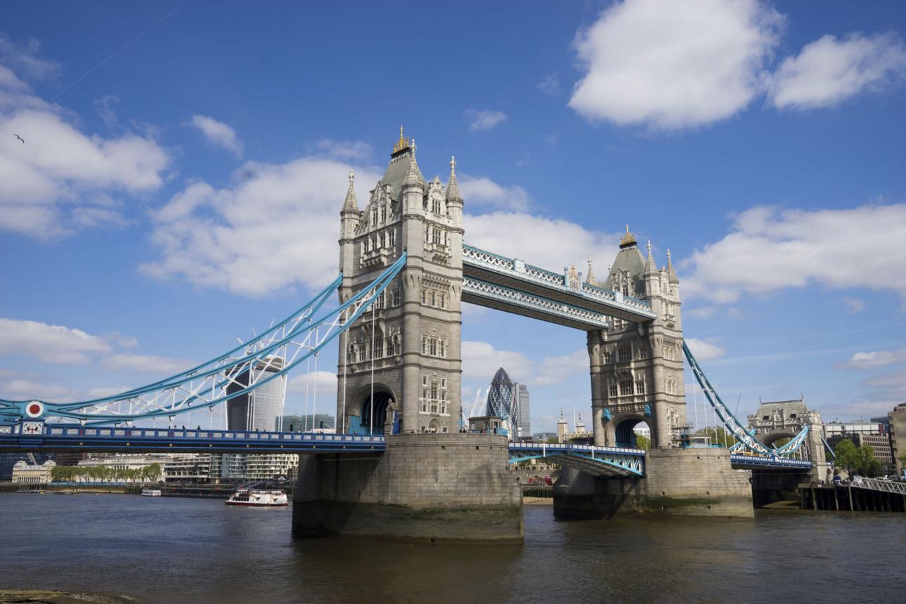 London Highlights Half Day Tour image 1