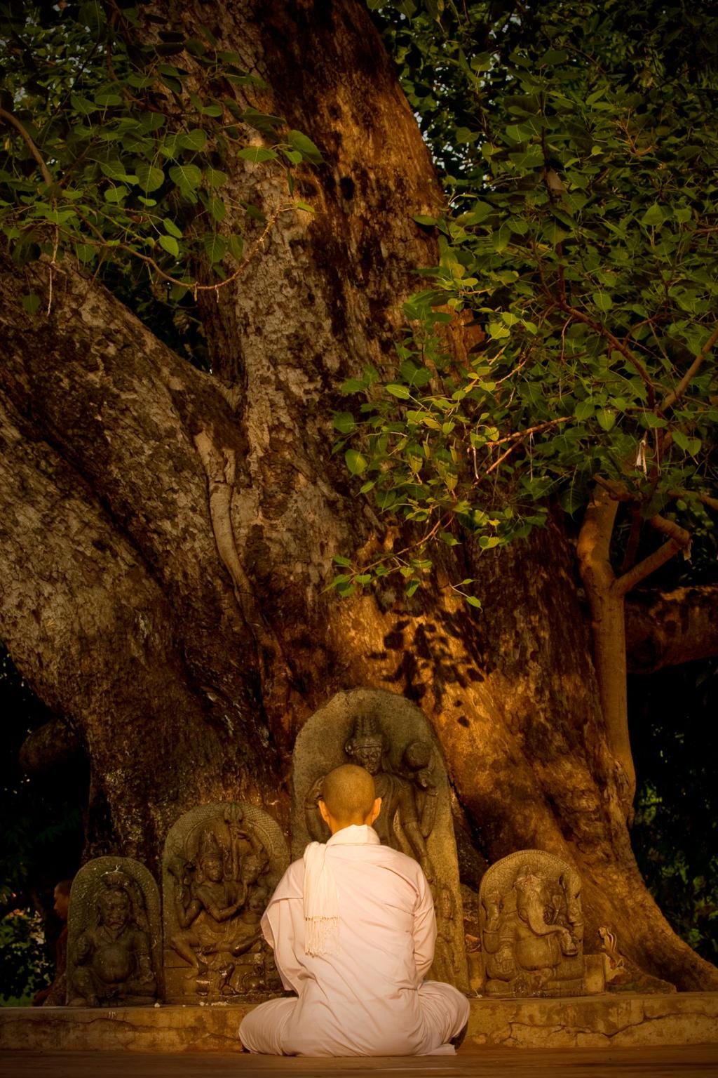 Bodh Gaya Spiritual Half Day Experience image 1