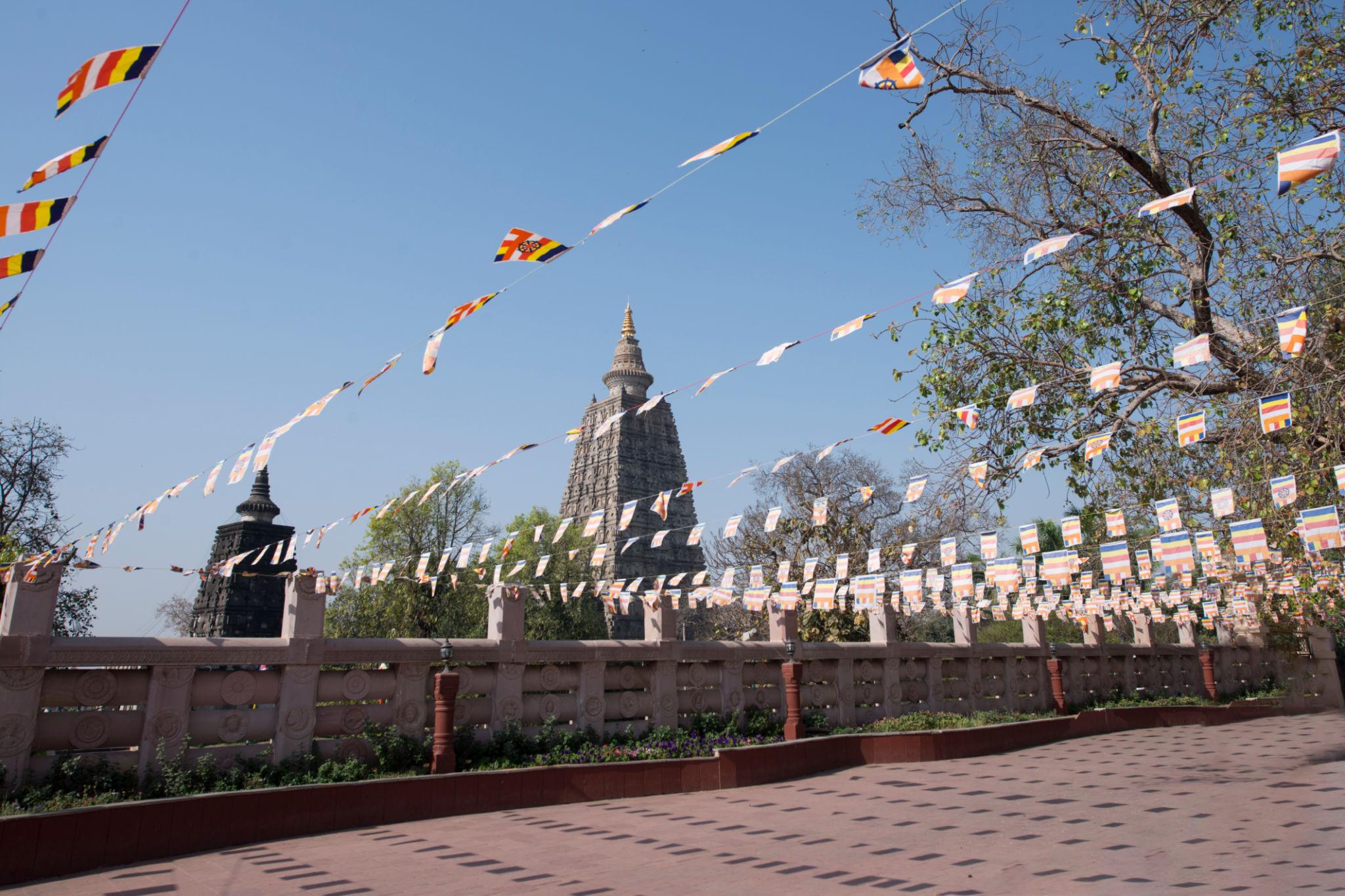 Complete Bodh Gaya Spiritual & Monastery Experience image 1