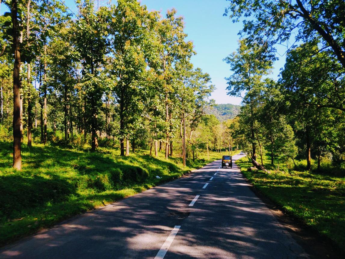 Wayanad Nature Explorer image 1
