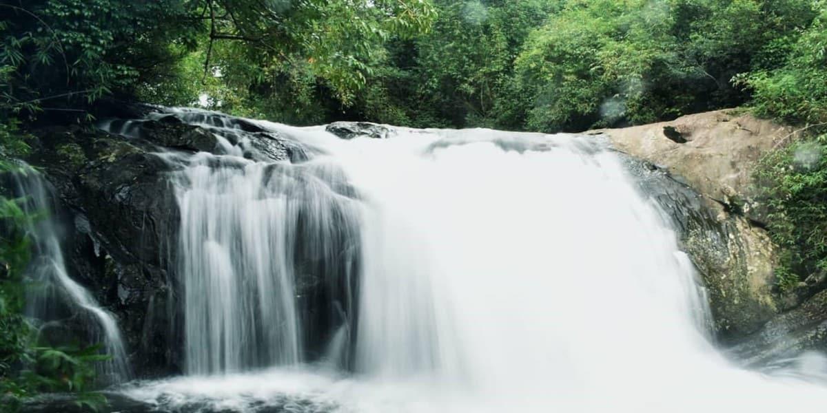 Complete Wayanad Nature & Adventure Experience image 1