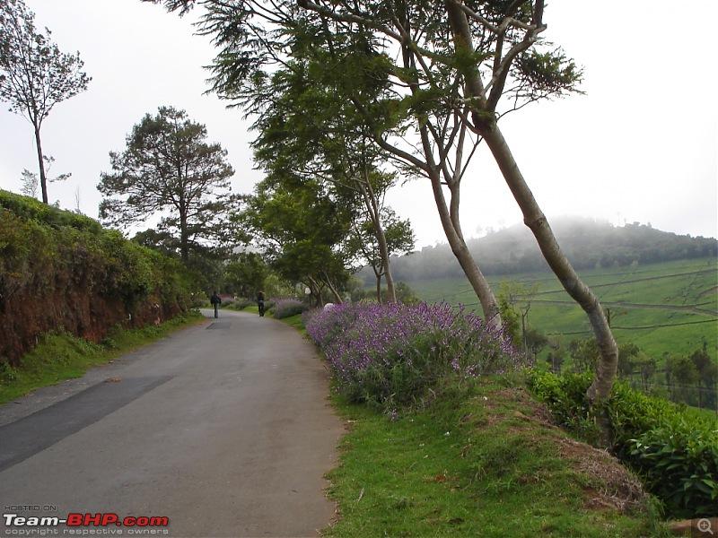 Complete Ooty Hill Station Experience image 1