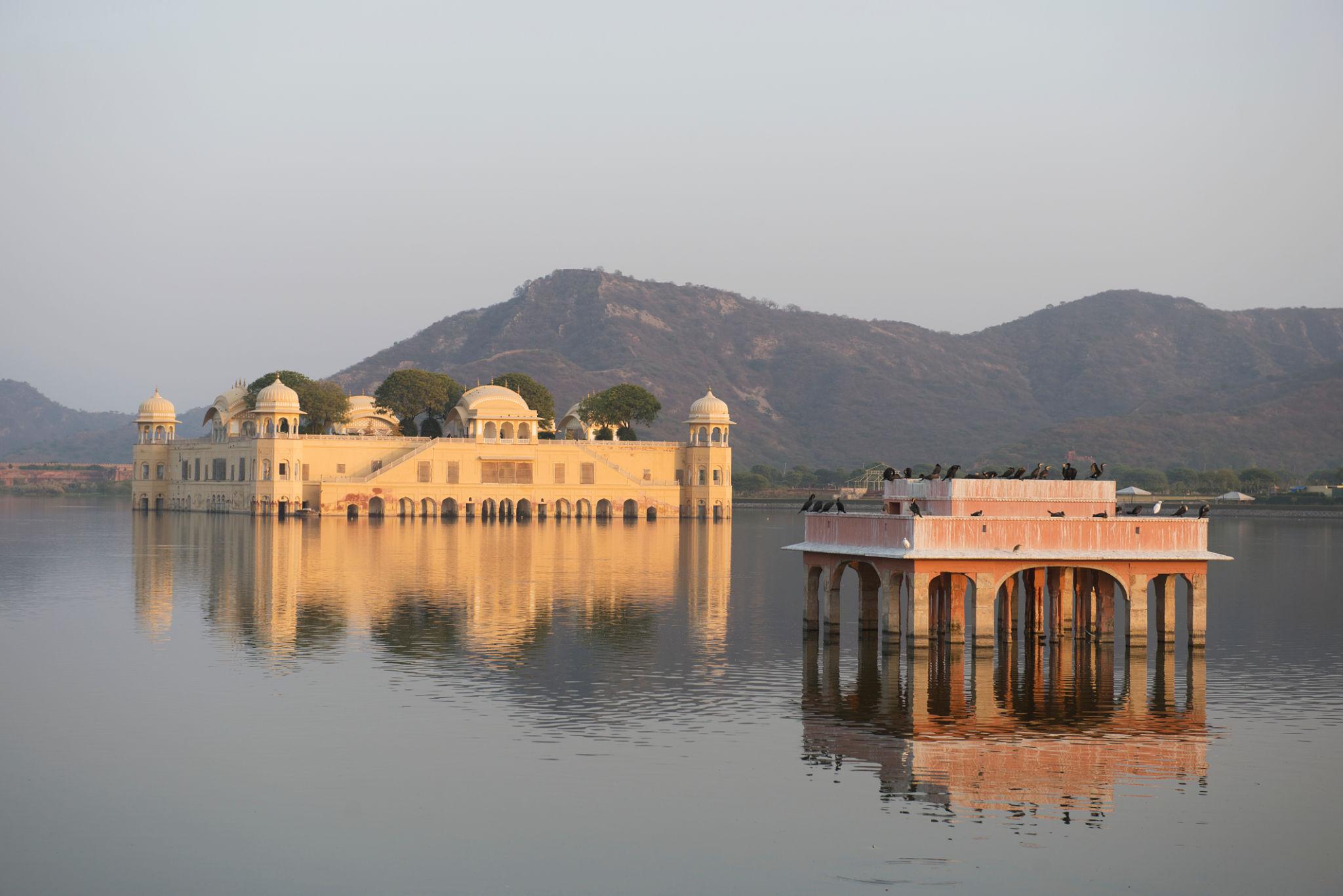 Jaipur Heritage Half Day Explorer image 1