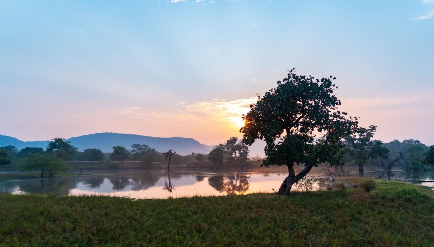 Ranthambore Safari + Fort Experience image 1