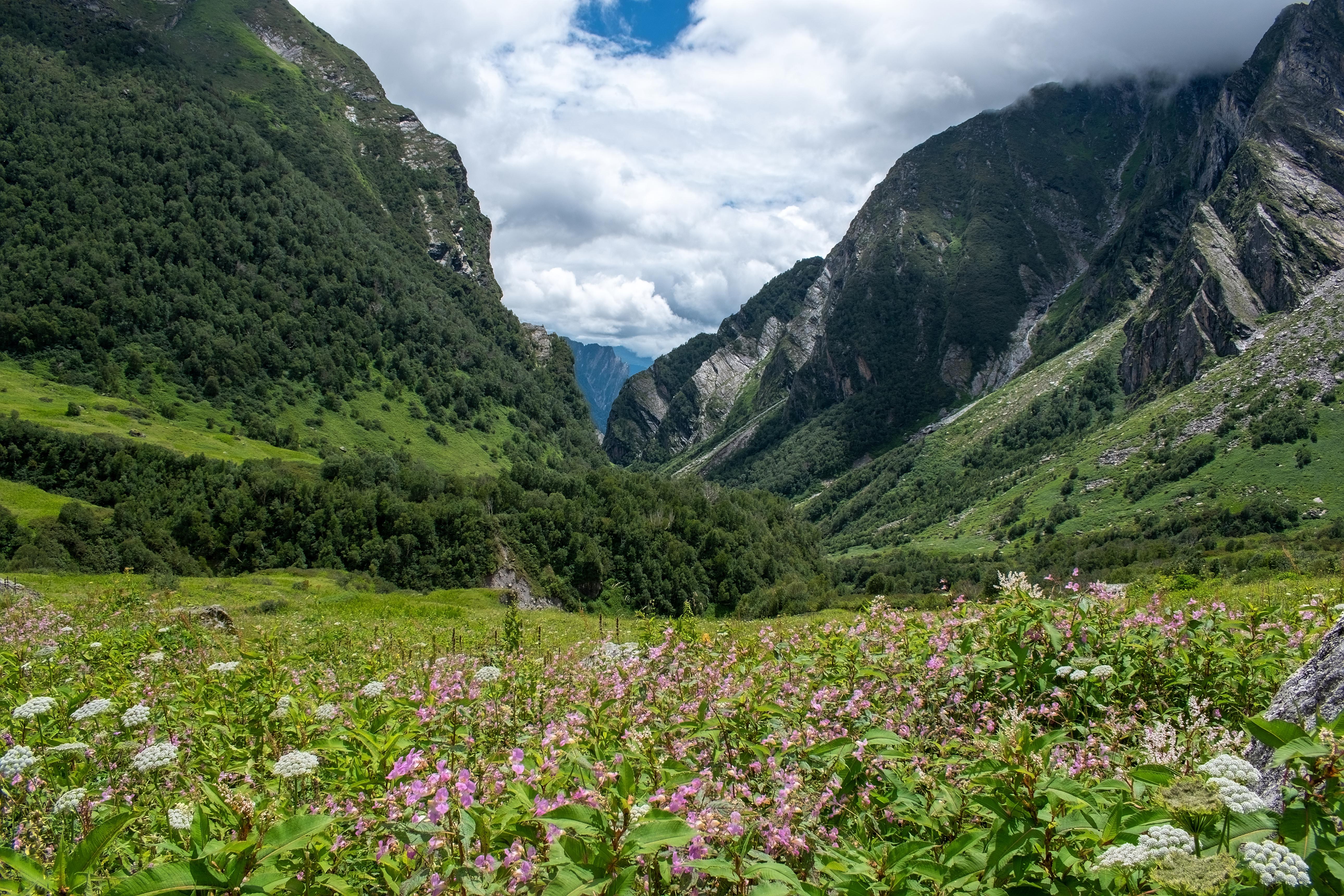 Valley of Flowers & Hemkund Sahib Trek image 1