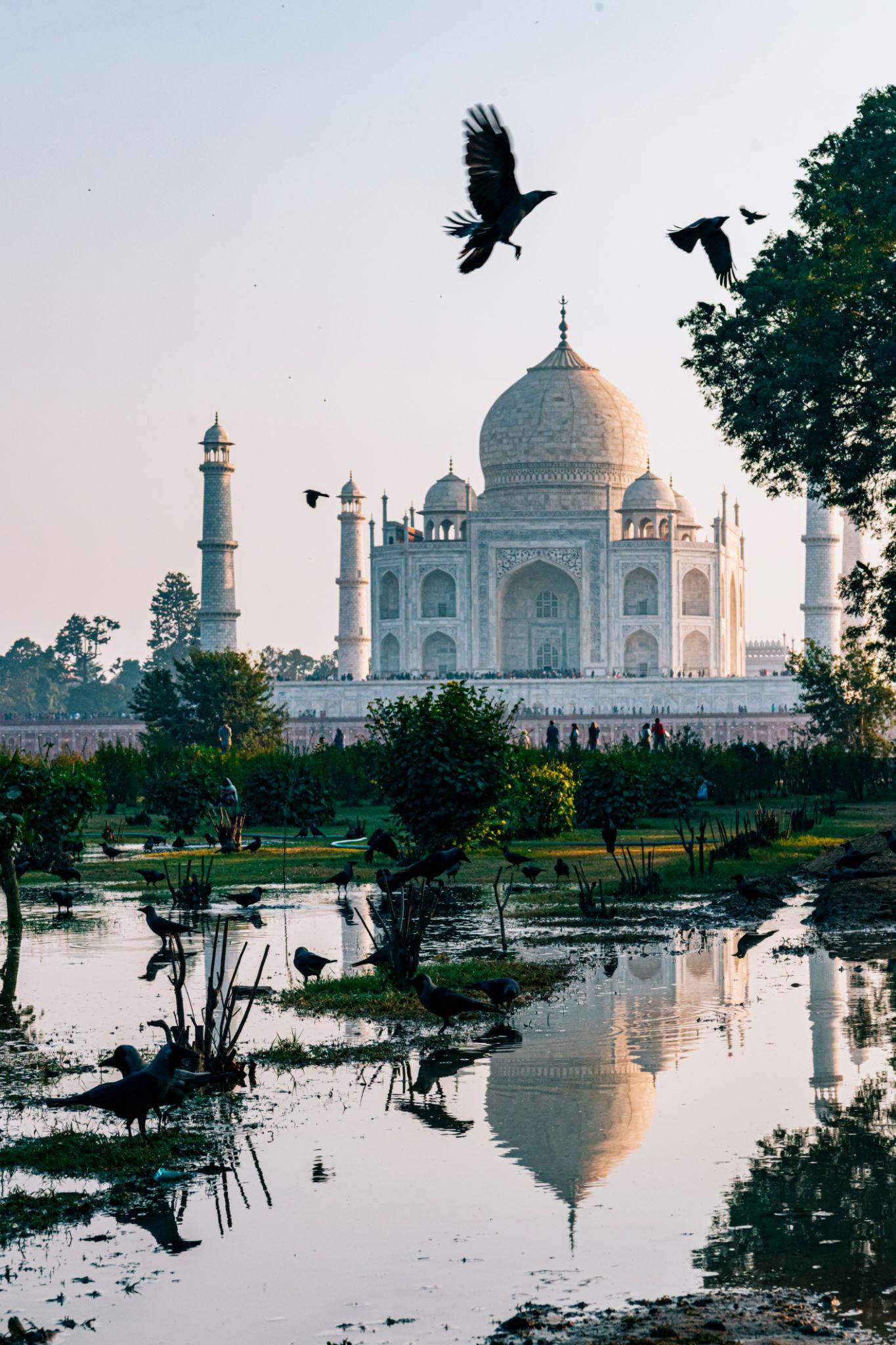 Full-Day Agra Heritage Experience image 1
