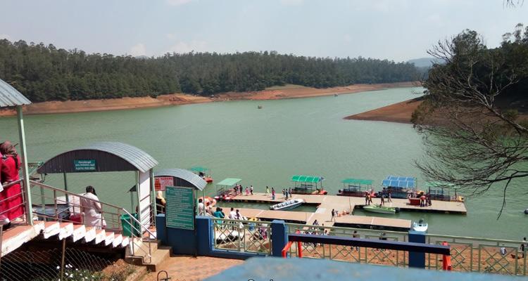 Pykara & Mudumalai Wildlife Tour image 1