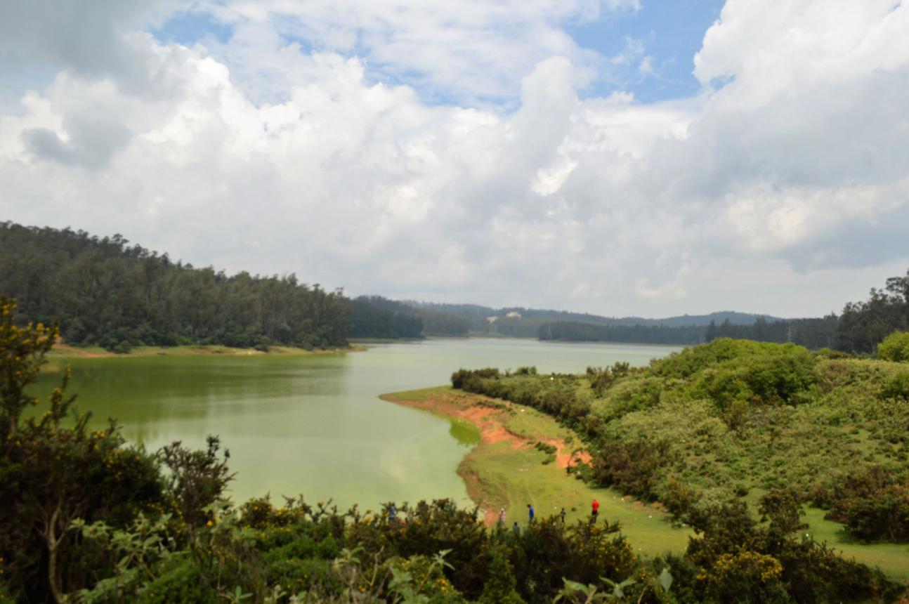 Filmy Locations & Scenic Nilgiris Tour image 1