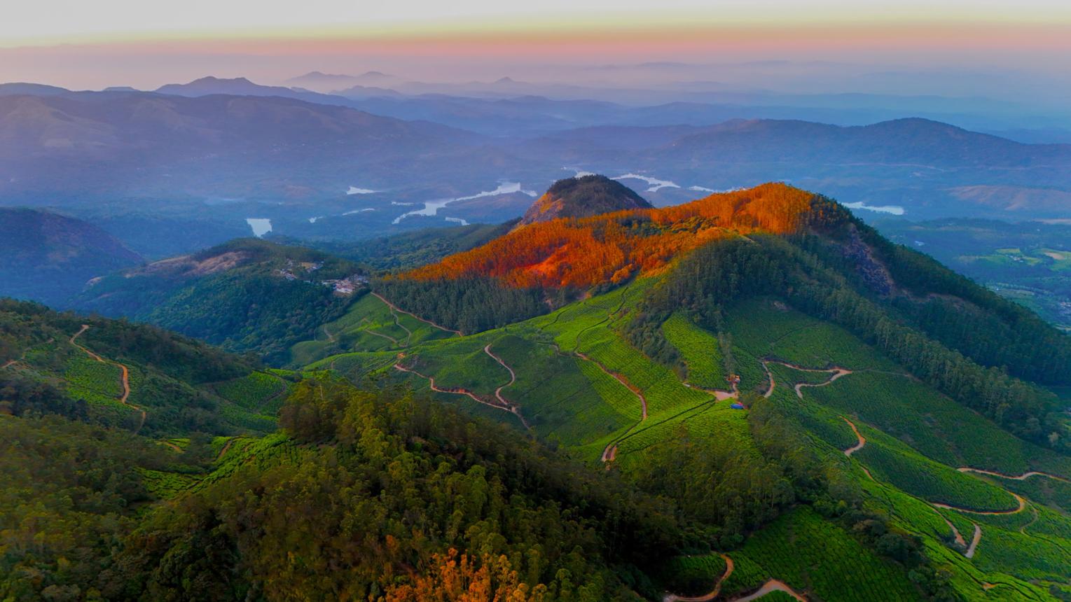 Complete Munnar Hill Station Experience image 1