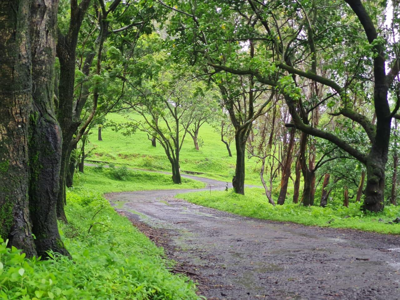 Complete Bhandardara Sightseeing Tour image 1