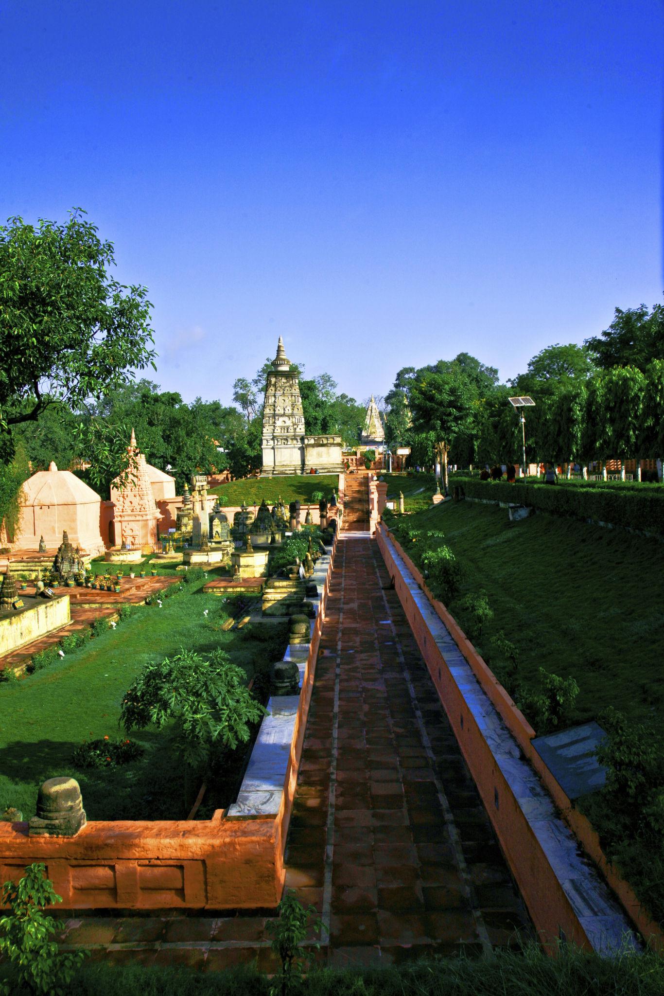 Mahabodhi Temple Guided Experience image 1