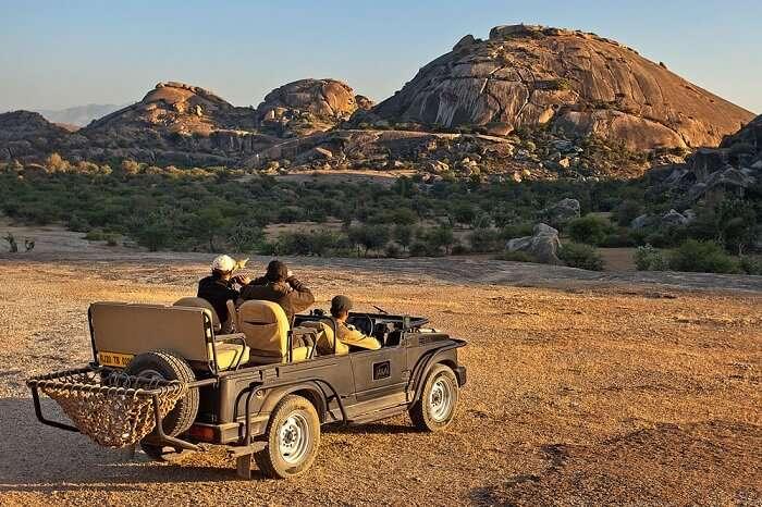 Jawai Leopard Safari Adventure image 1