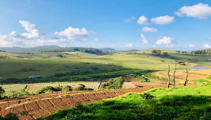 Complete Ooty Nature Experience image 1