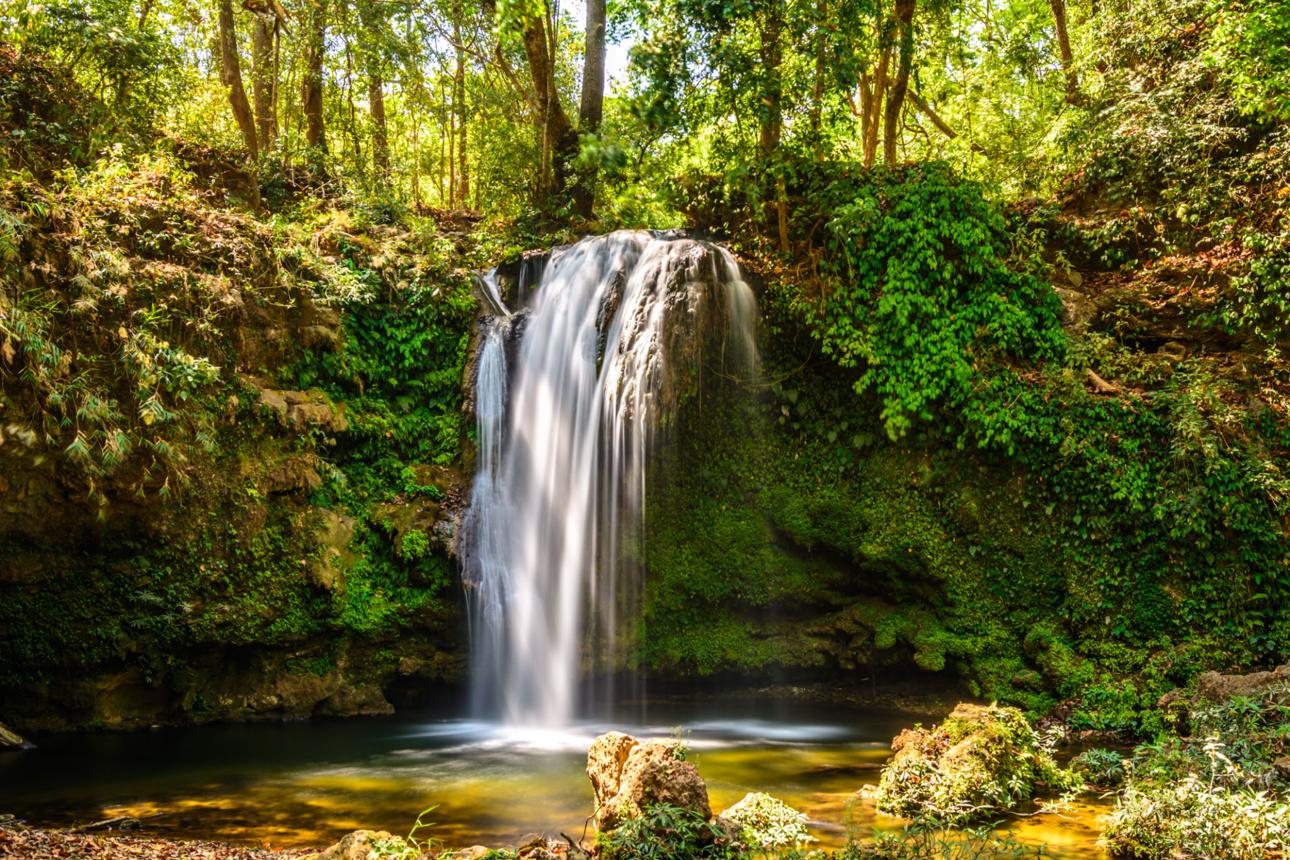 Ramnagar Nature & Temple Sightseeing Tour image 1