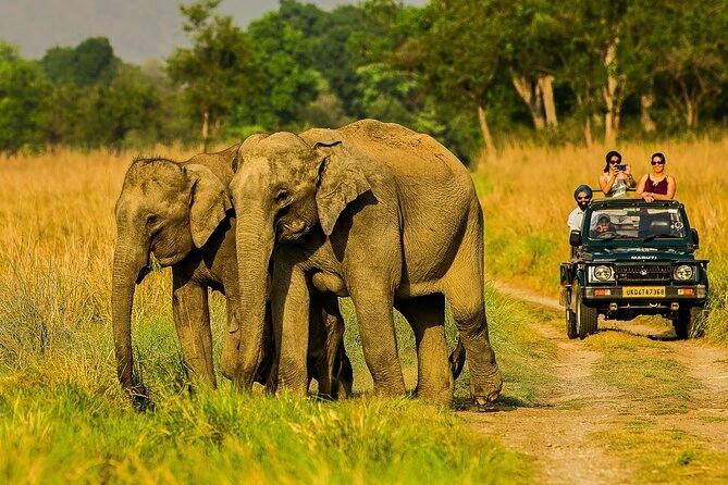 Corbett Wildlife & Heritage Experience image 1