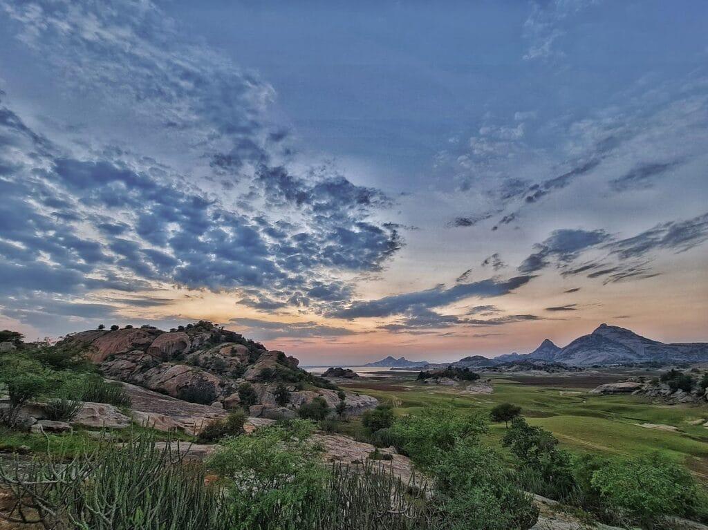 Complete Jawai Wildlife Experience image 1