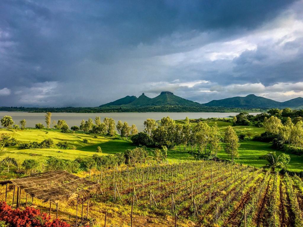 Nashik Wine & Nature Experience image 1