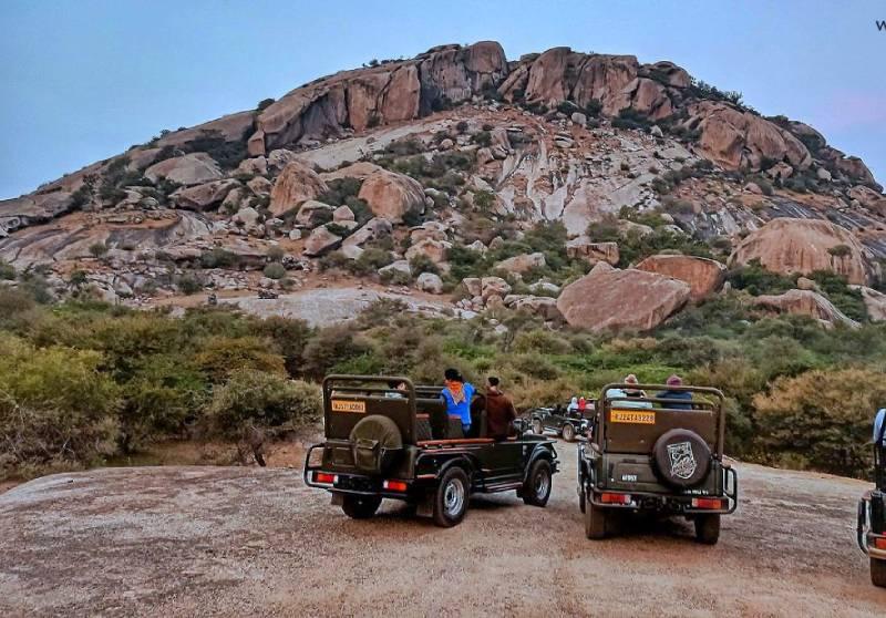 Complete Jawai Wildlife & Nature Experience image 1