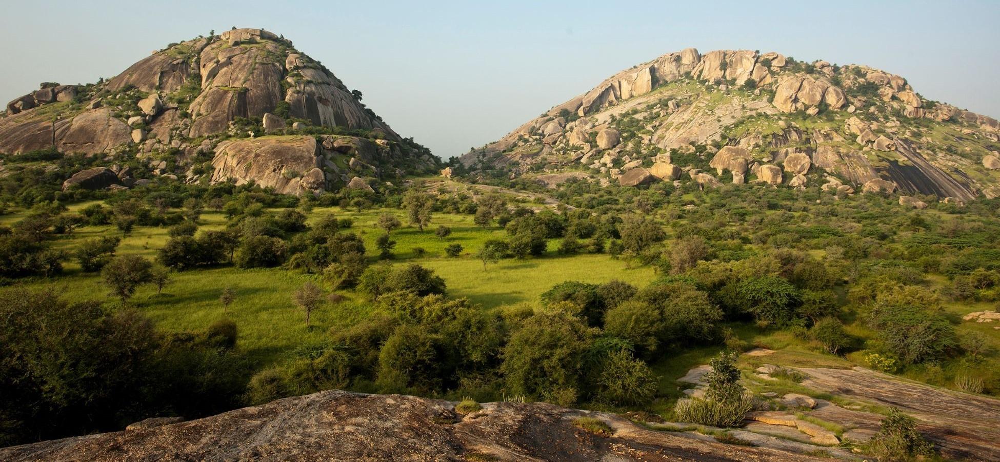 Evening Leopard Safari & Sunset Experience image 1