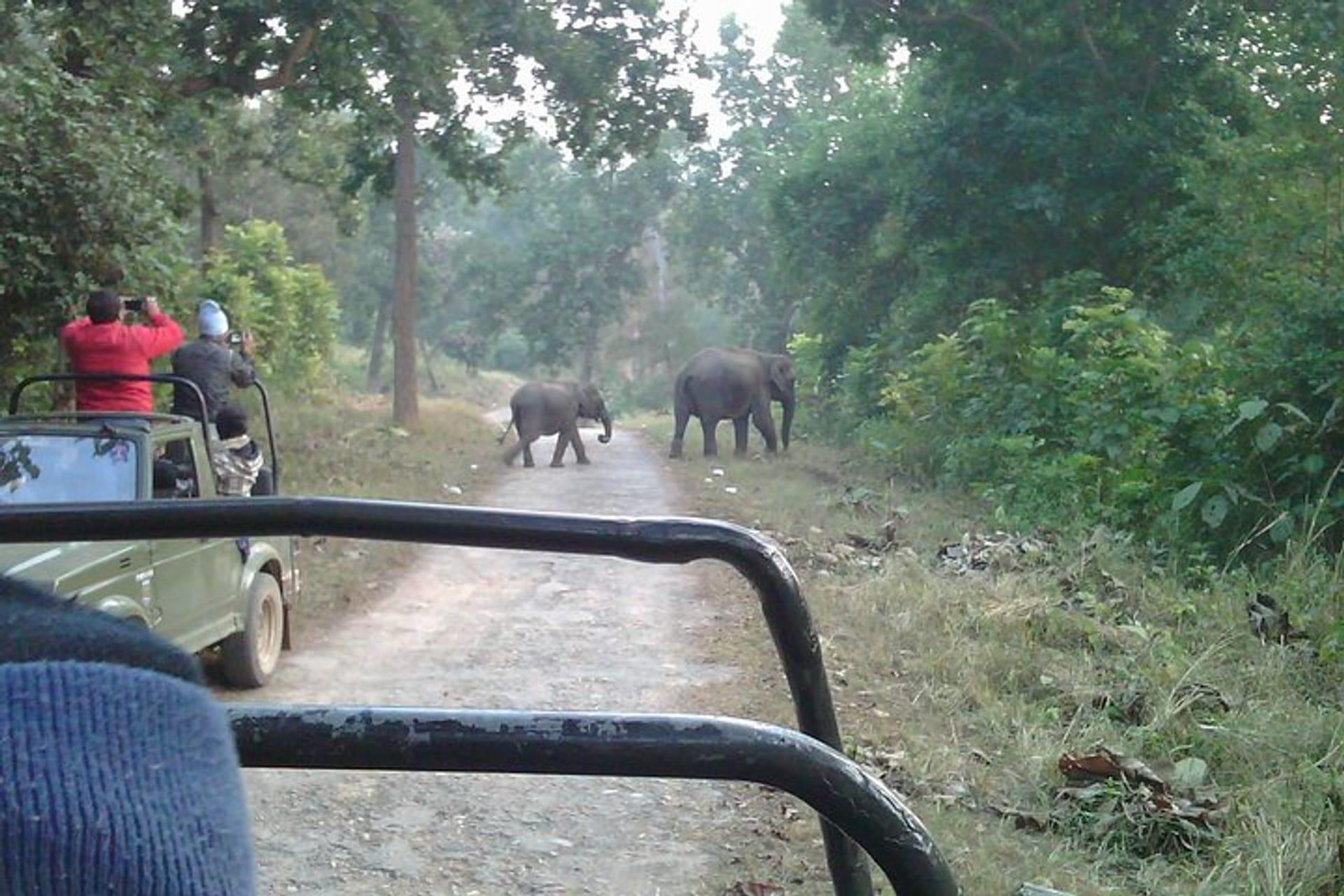 Nature, Birding & Village Experience image 1