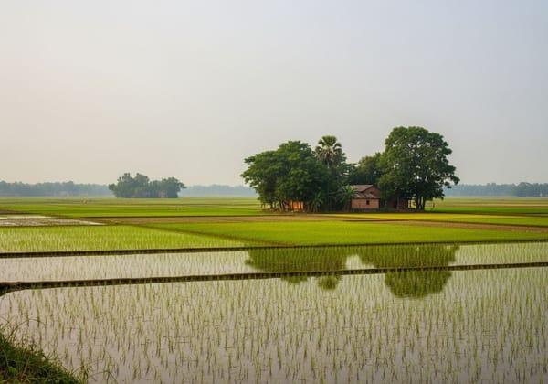 Nadia Culture & Village Experience image 1