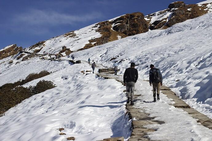 Chopta – Tungnath Adventure Tour image 1
