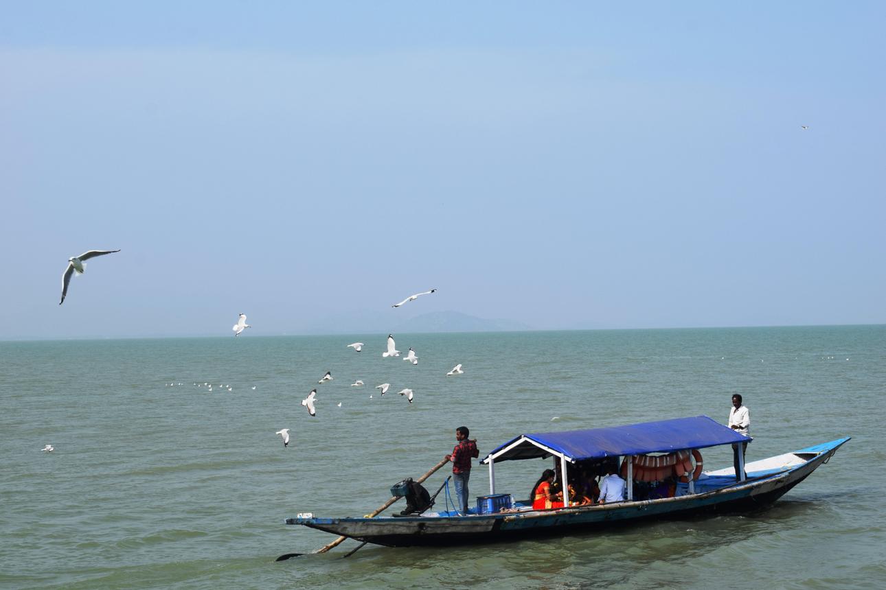 Puri, Konark & Chilika Day Excursion image 1