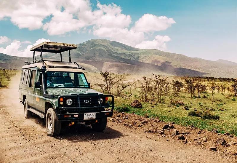 Leopard Safari Experience image 1