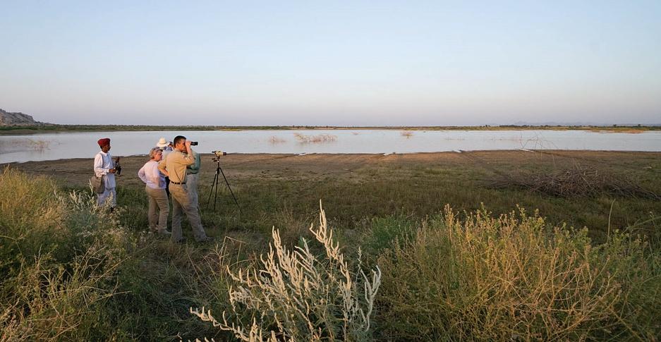 Complete Jawai Wildlife & Cultural image 1