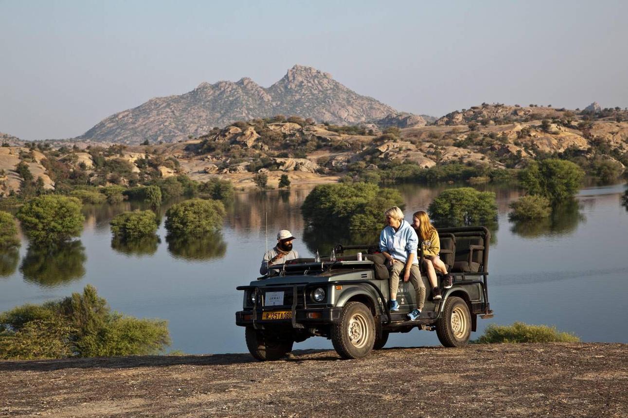 Jawai Leopard Safari image 1
