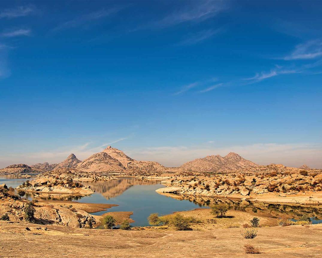 Jawai Bird Photography & Nature Tour image 1