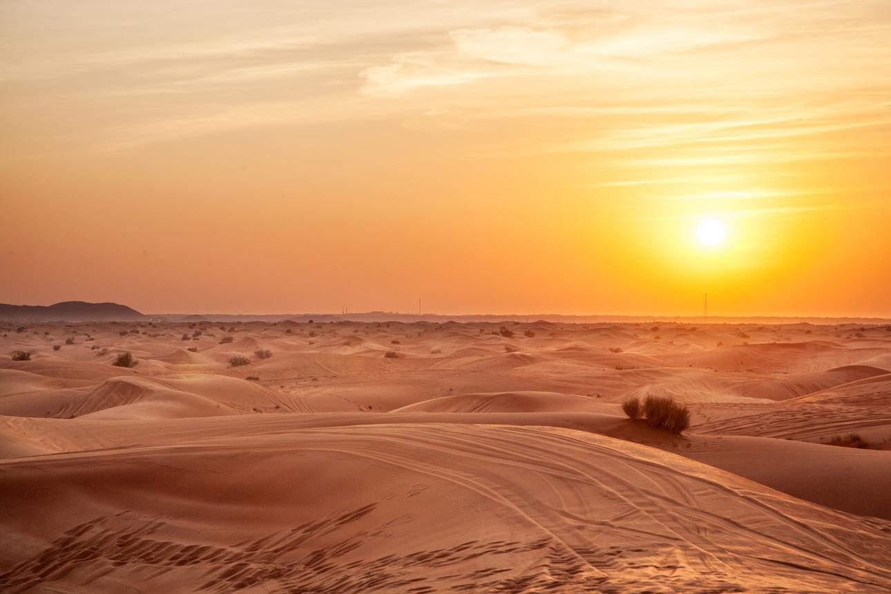 Dubai Desert Safari & Premium Experience image 1