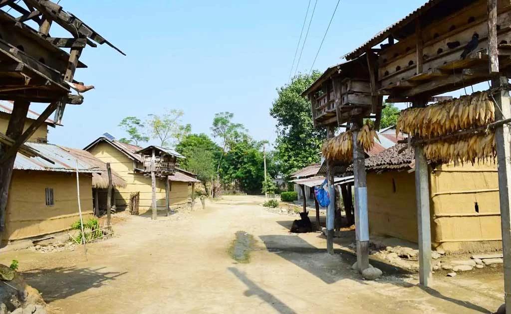 Chitwan Wildlife & Himalayan Adventure image 1