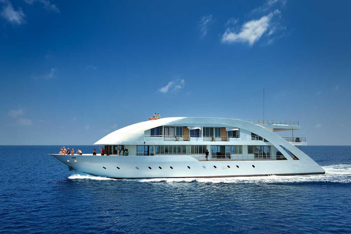 Sunset Cruise & Marine Adventure image 1