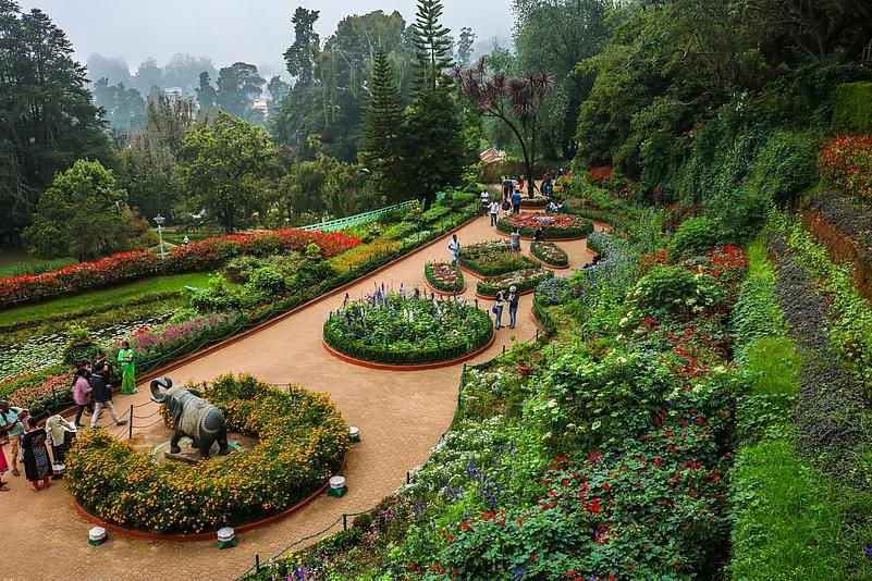 Ooty Local Sightseeing Tour image 1