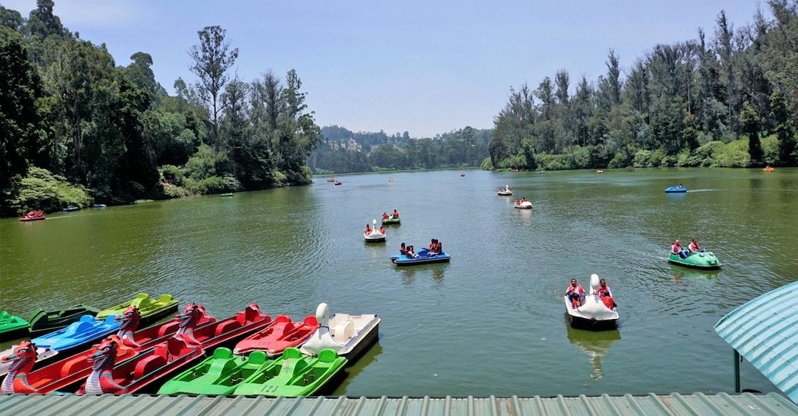 Ooty Complete Sightseeing & Railway Experience image 1