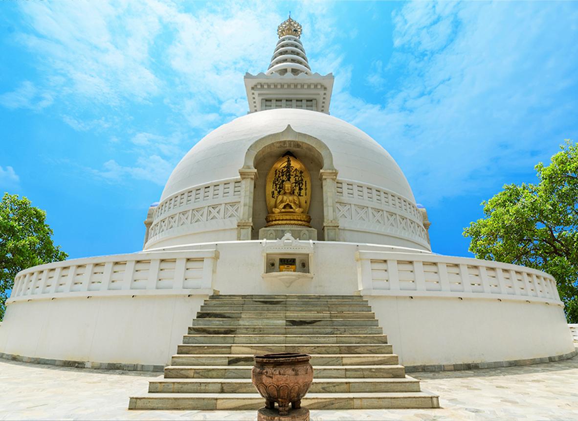 Vaishali History & Spiritual Tour image 1
