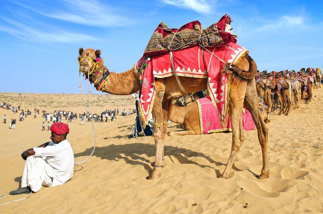 13 Days Rural Rajasthan & Authentic India Cultural Journey image 1