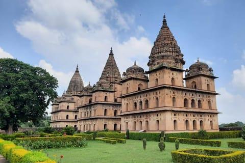 Central India Heritage & Wildlife Tour image 1